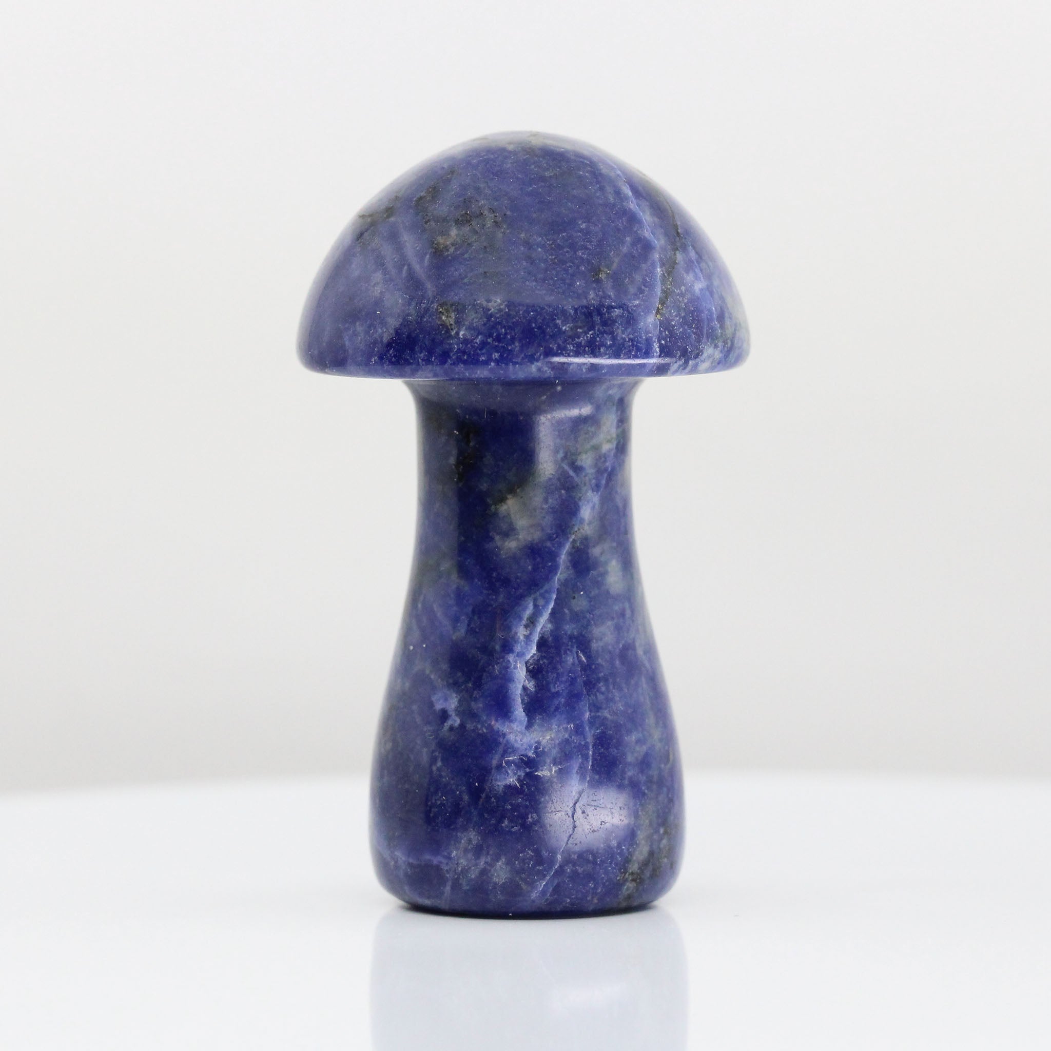 Mushroom 2.5 Inches