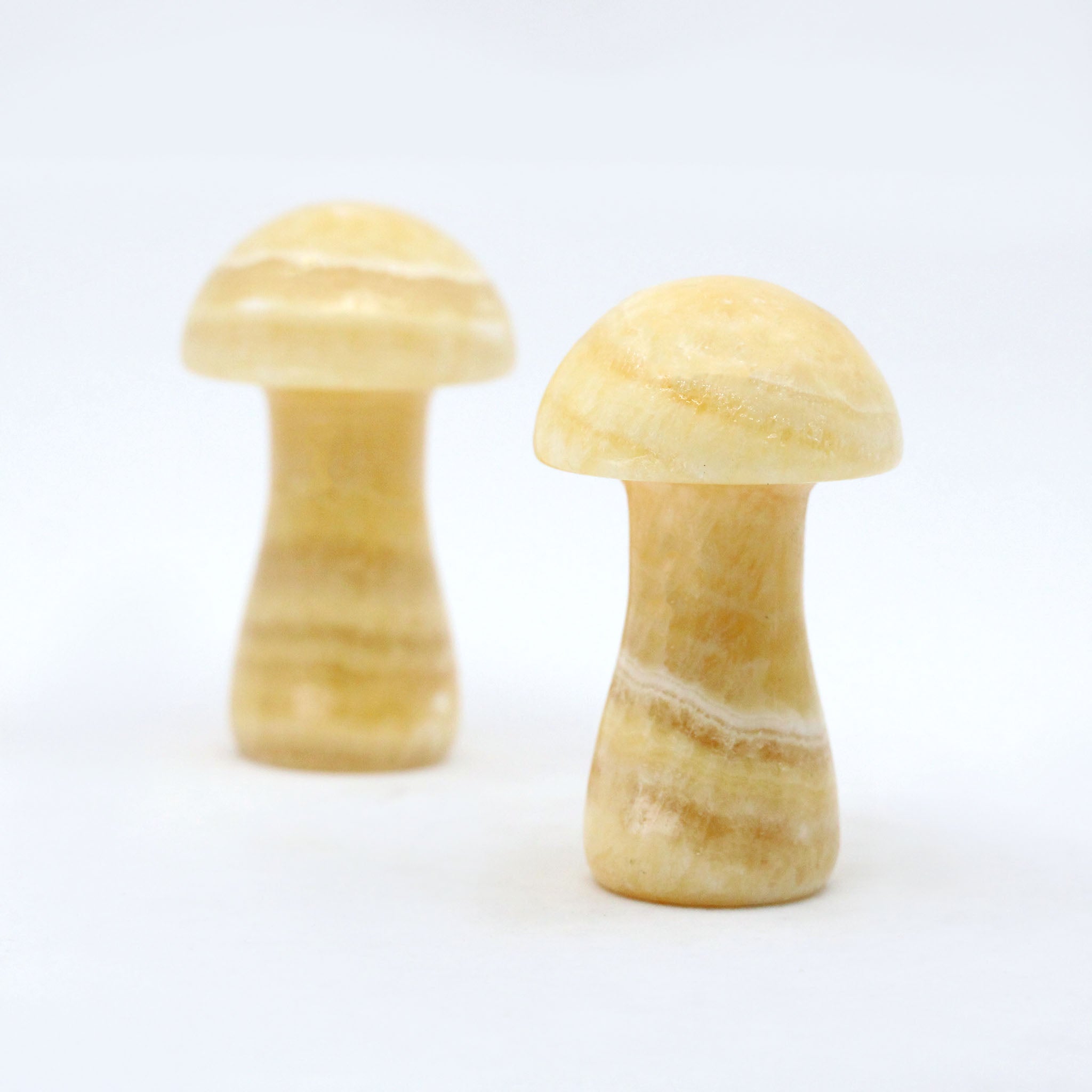 Mushroom 2.5 Inches