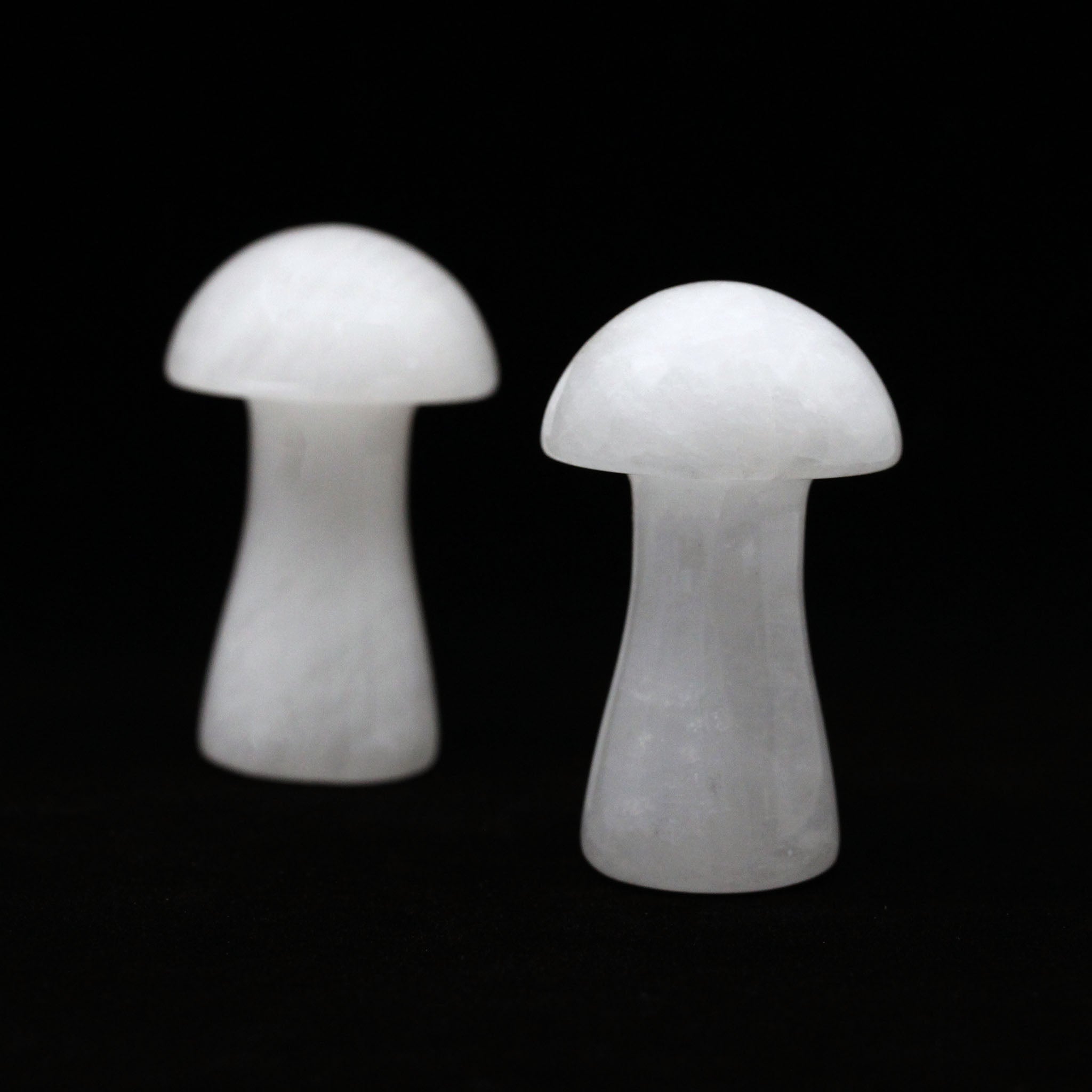 Mushroom 2.5 Inches
