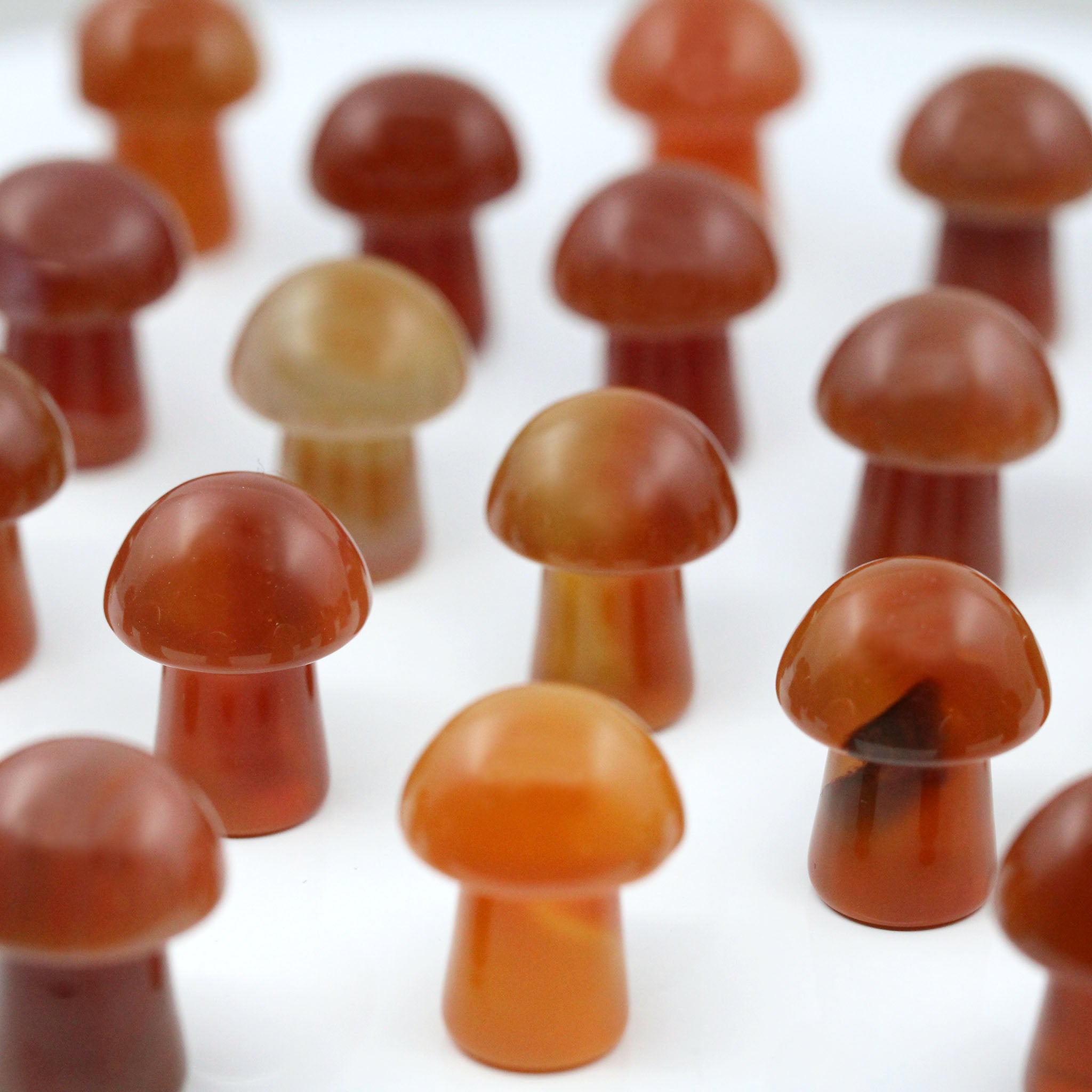 Mushroom 20mm - 25 Pcs