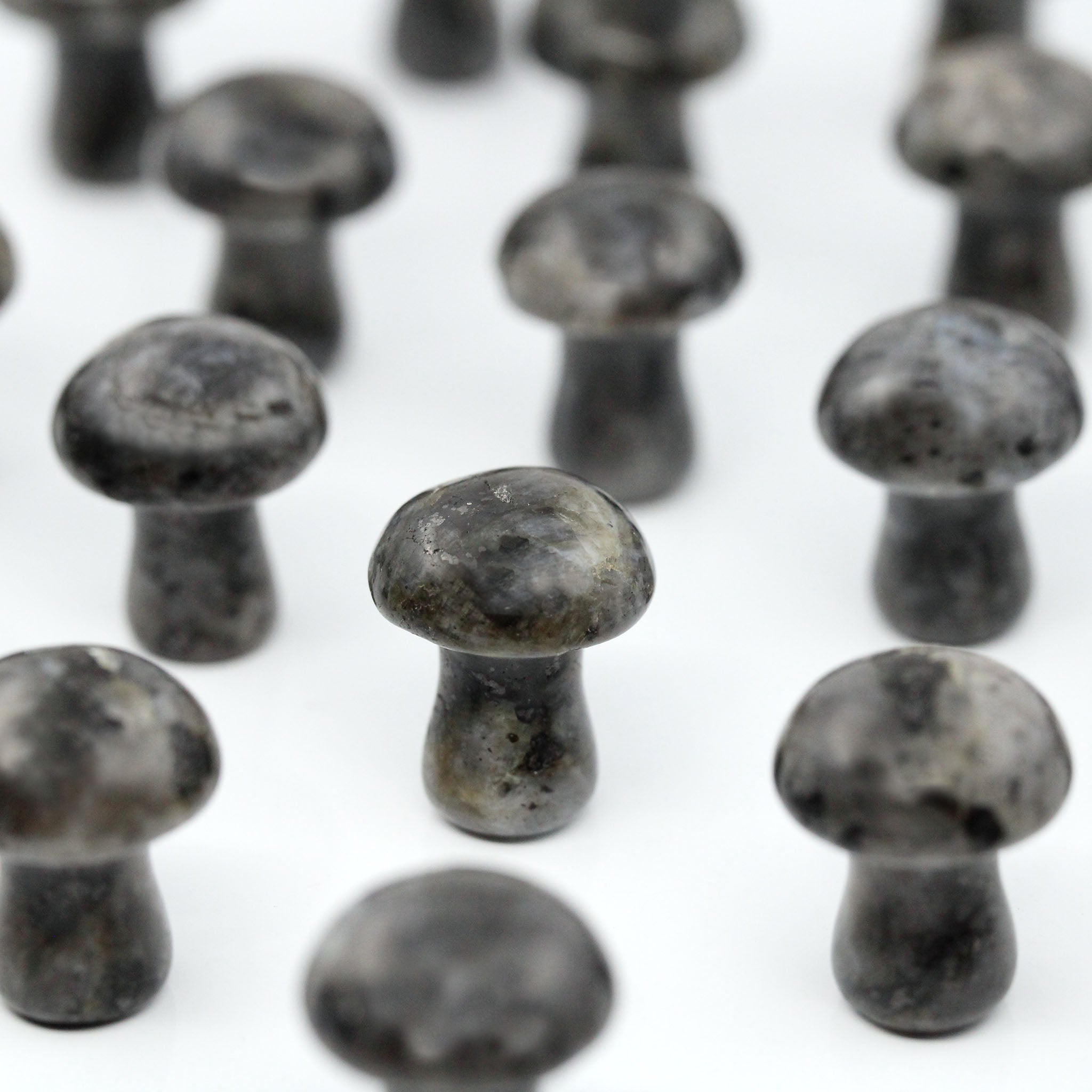 Mushroom 20mm - 25 Pcs