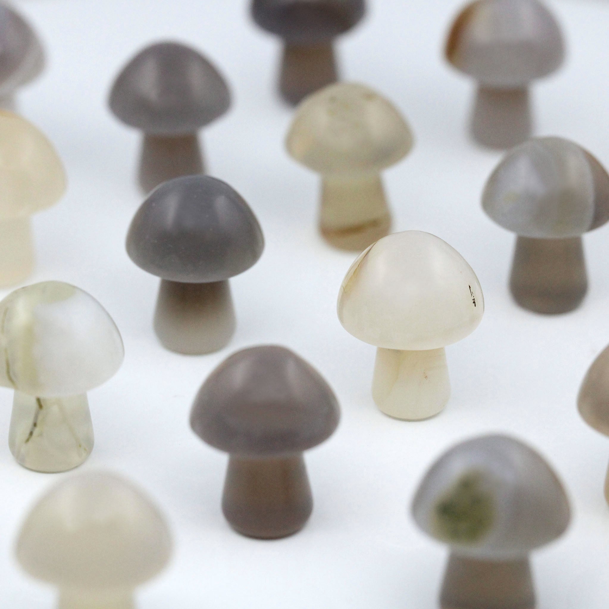 Mushroom 20mm - 25 Pcs