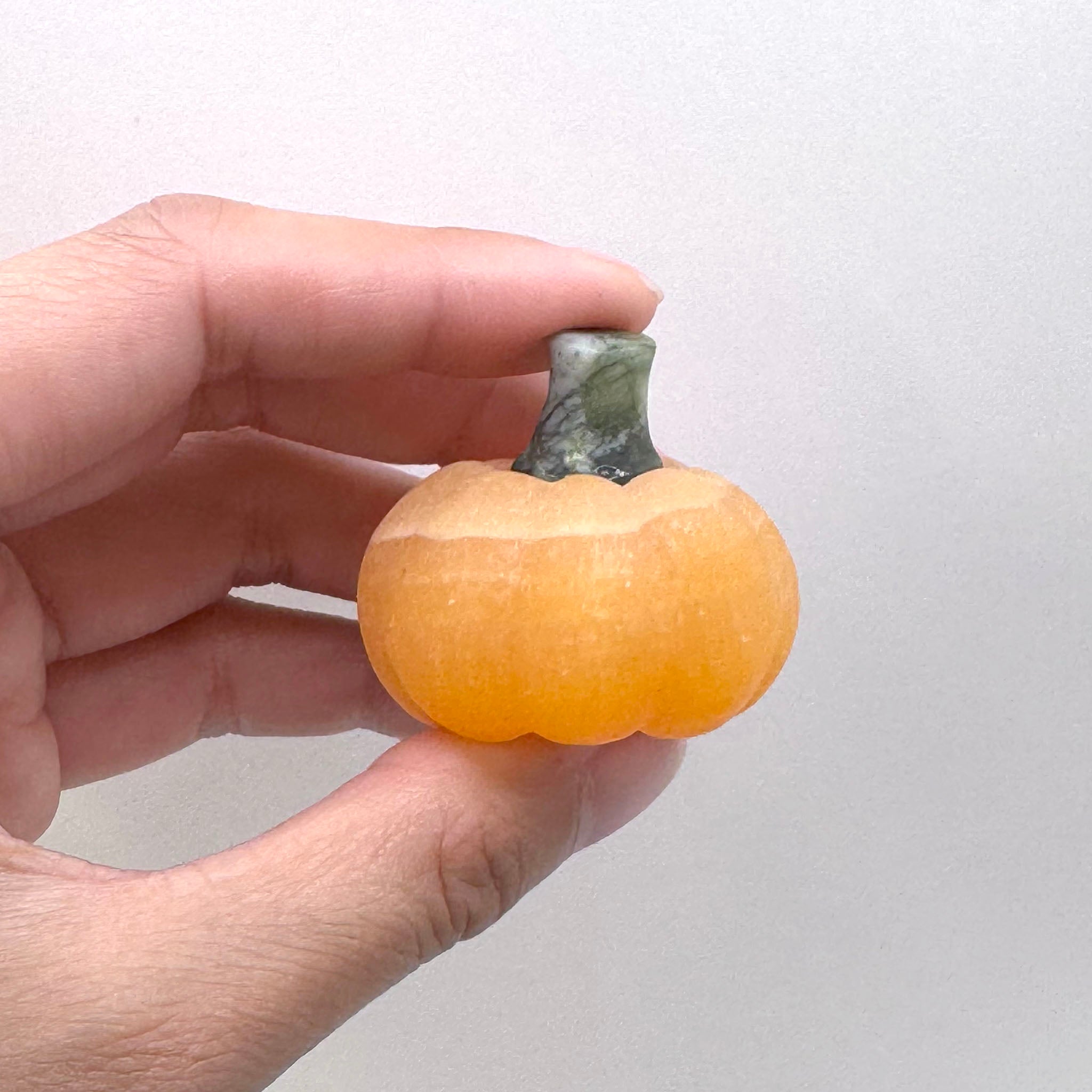 Pumpkin with Stem