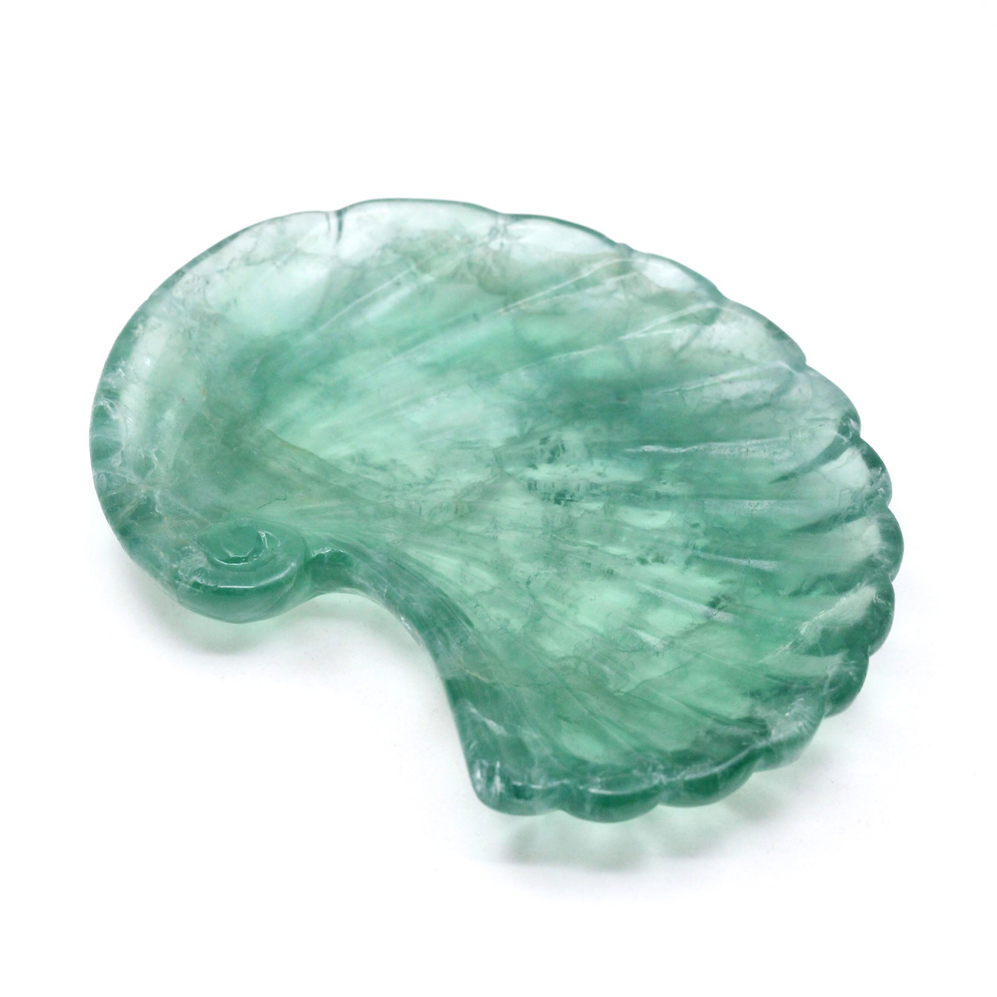 Spiral Seashell Tray