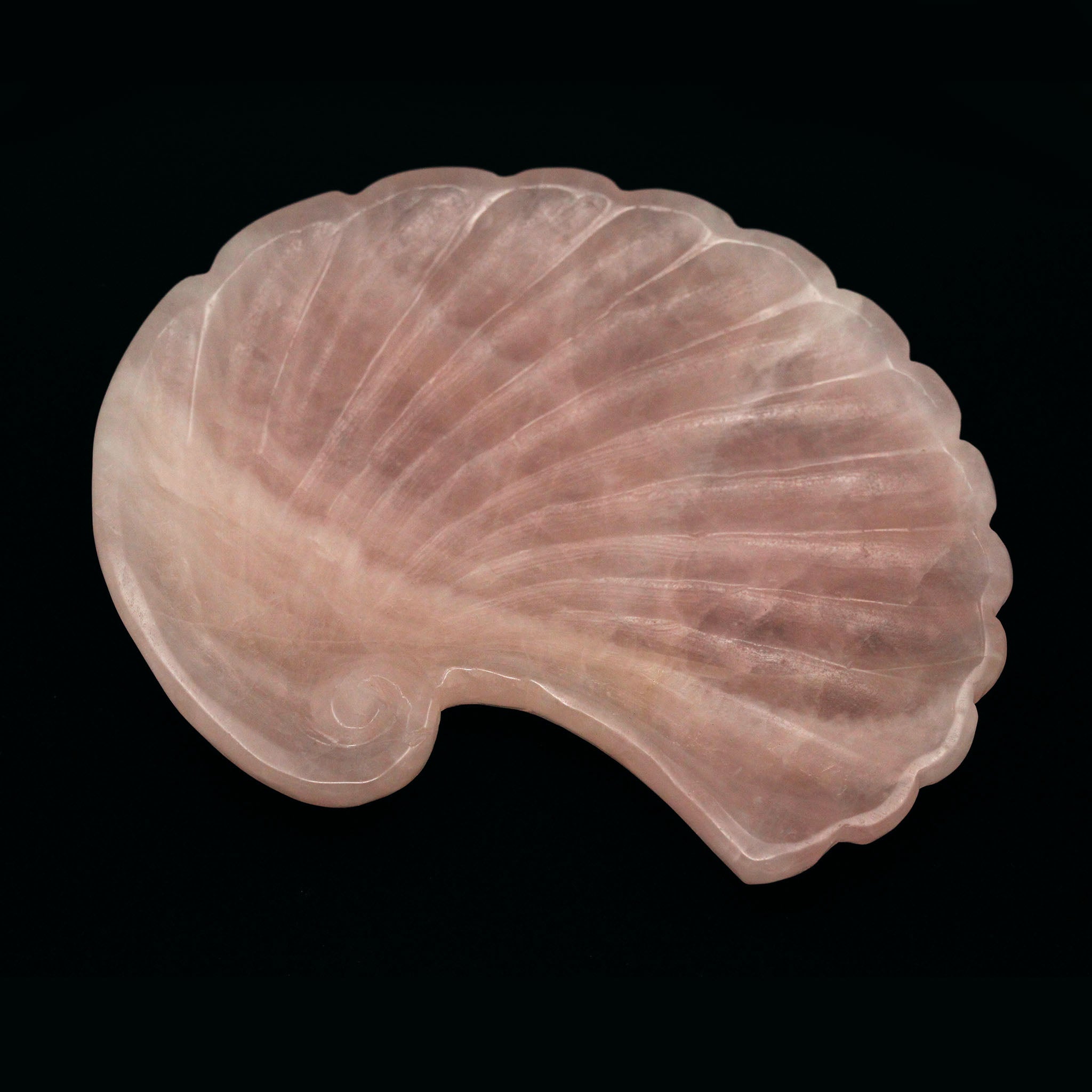 Spiral Seashell Tray