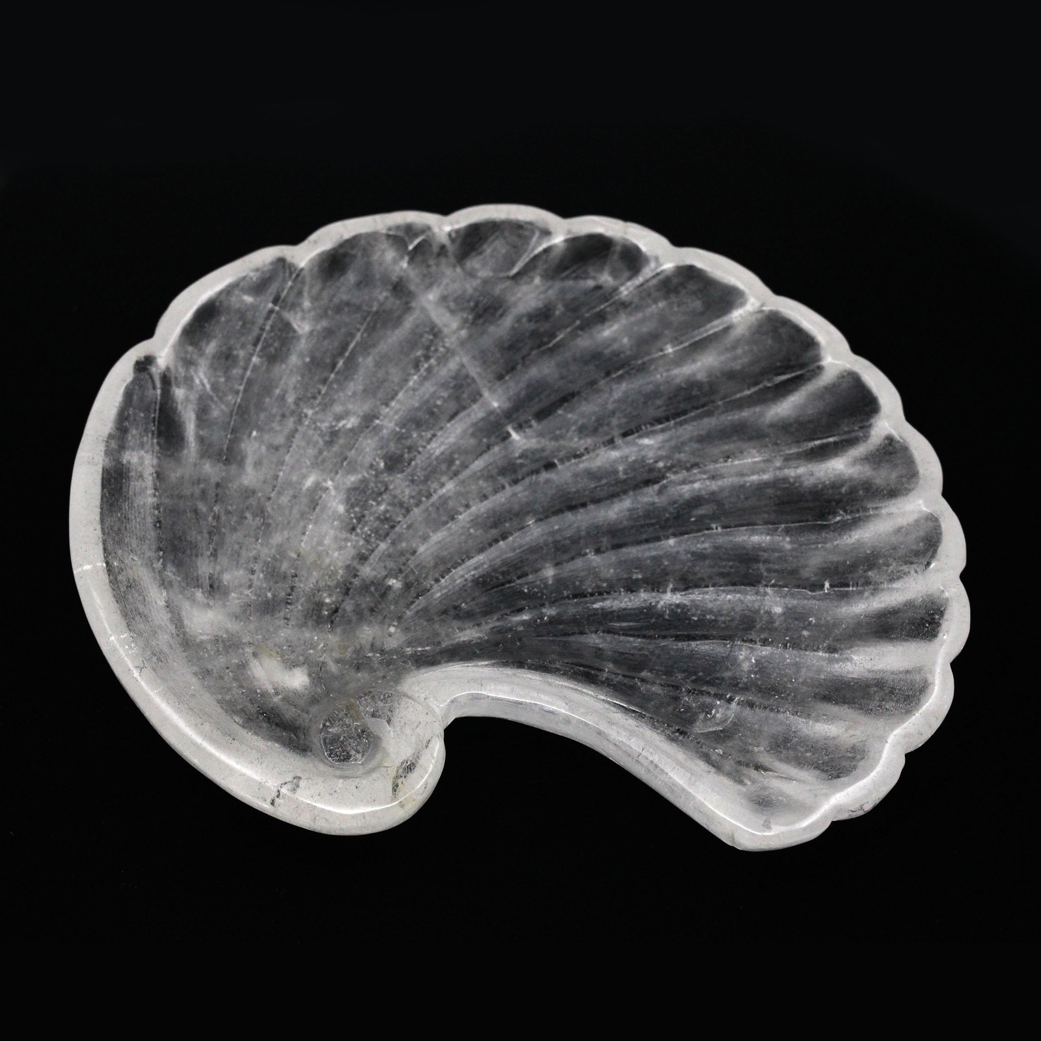 Spiral Seashell Tray