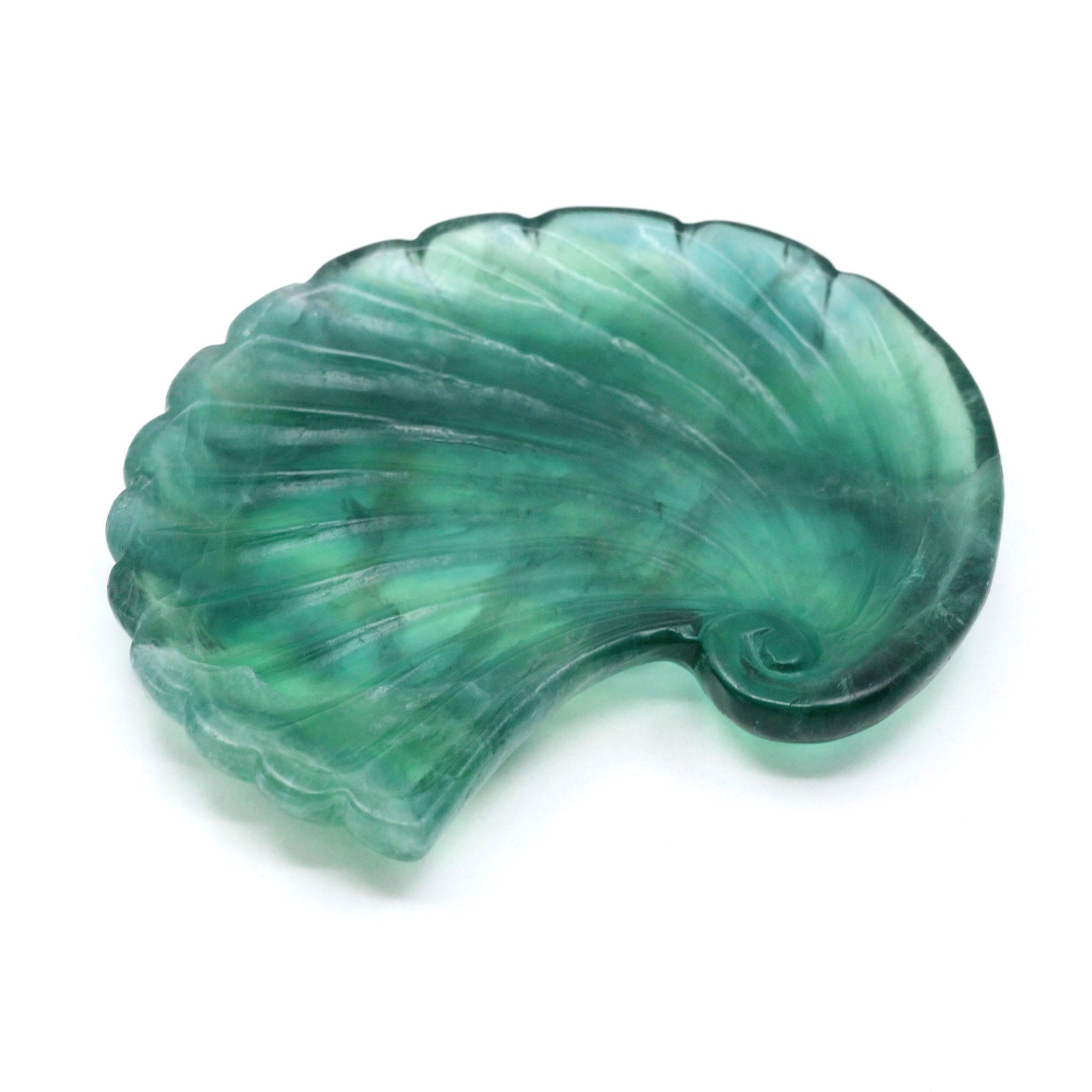 Spiral Seashell Tray