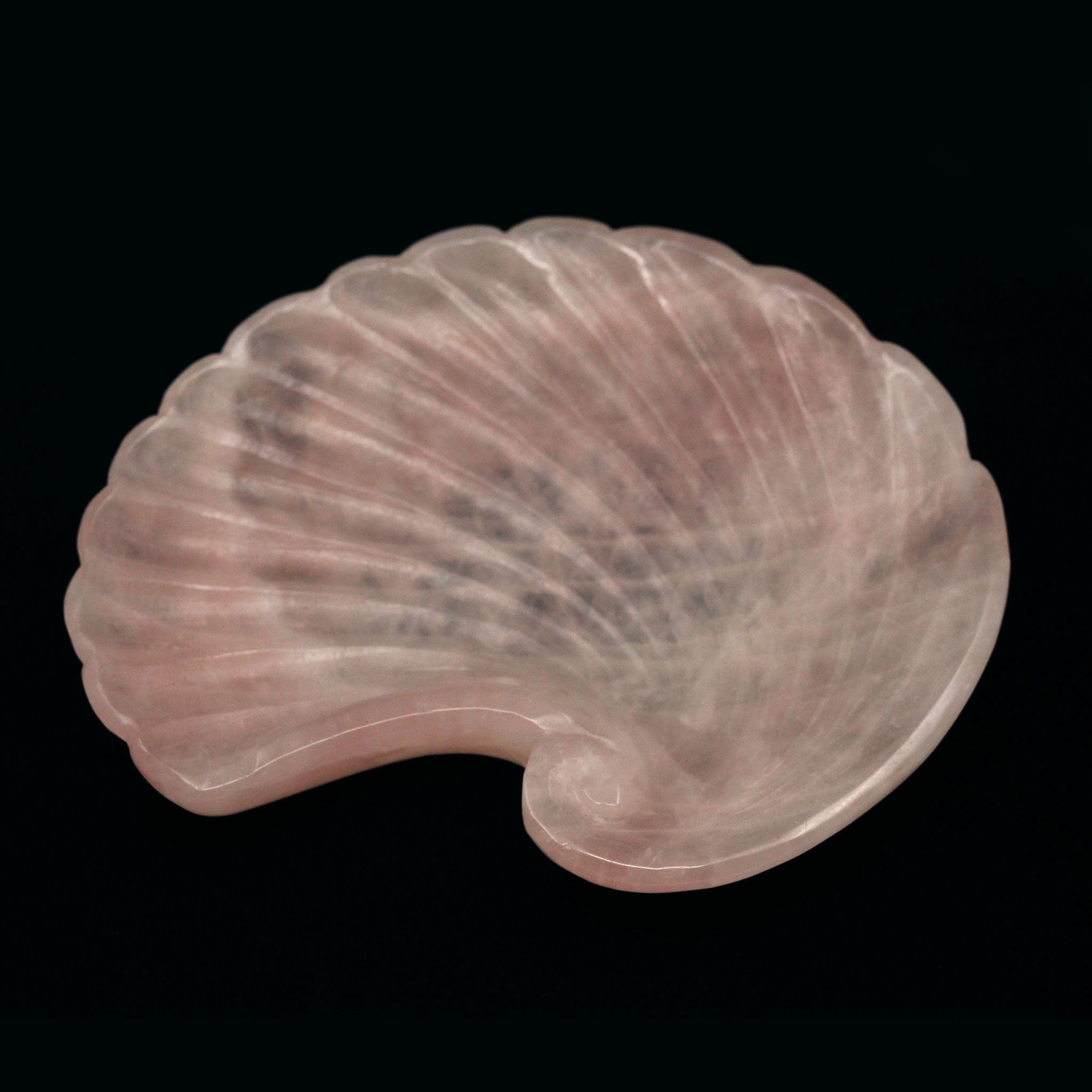 Spiral Seashell Tray
