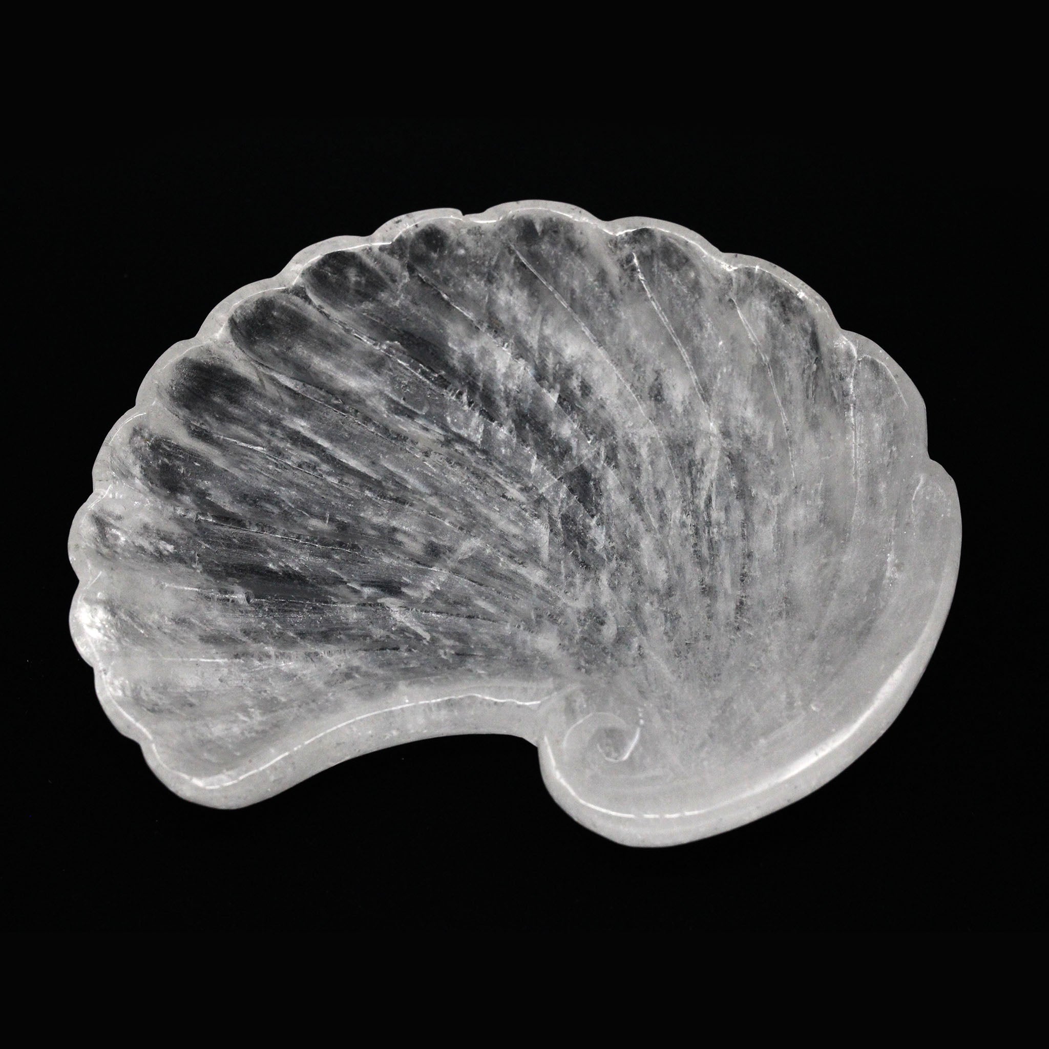 Spiral Seashell Tray