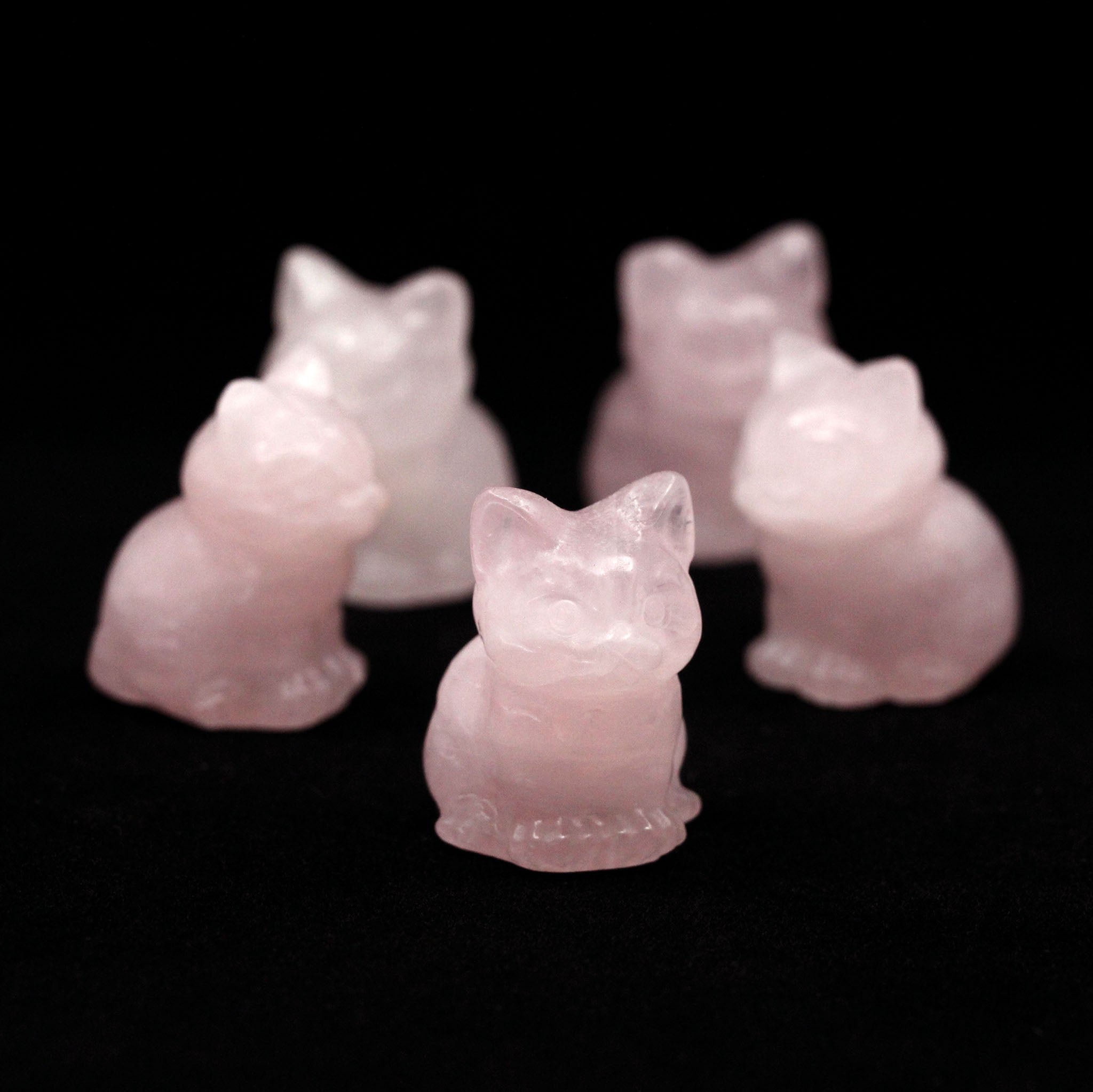 Chubby Cat Sitting 1.4 Inches - 5 Pcs