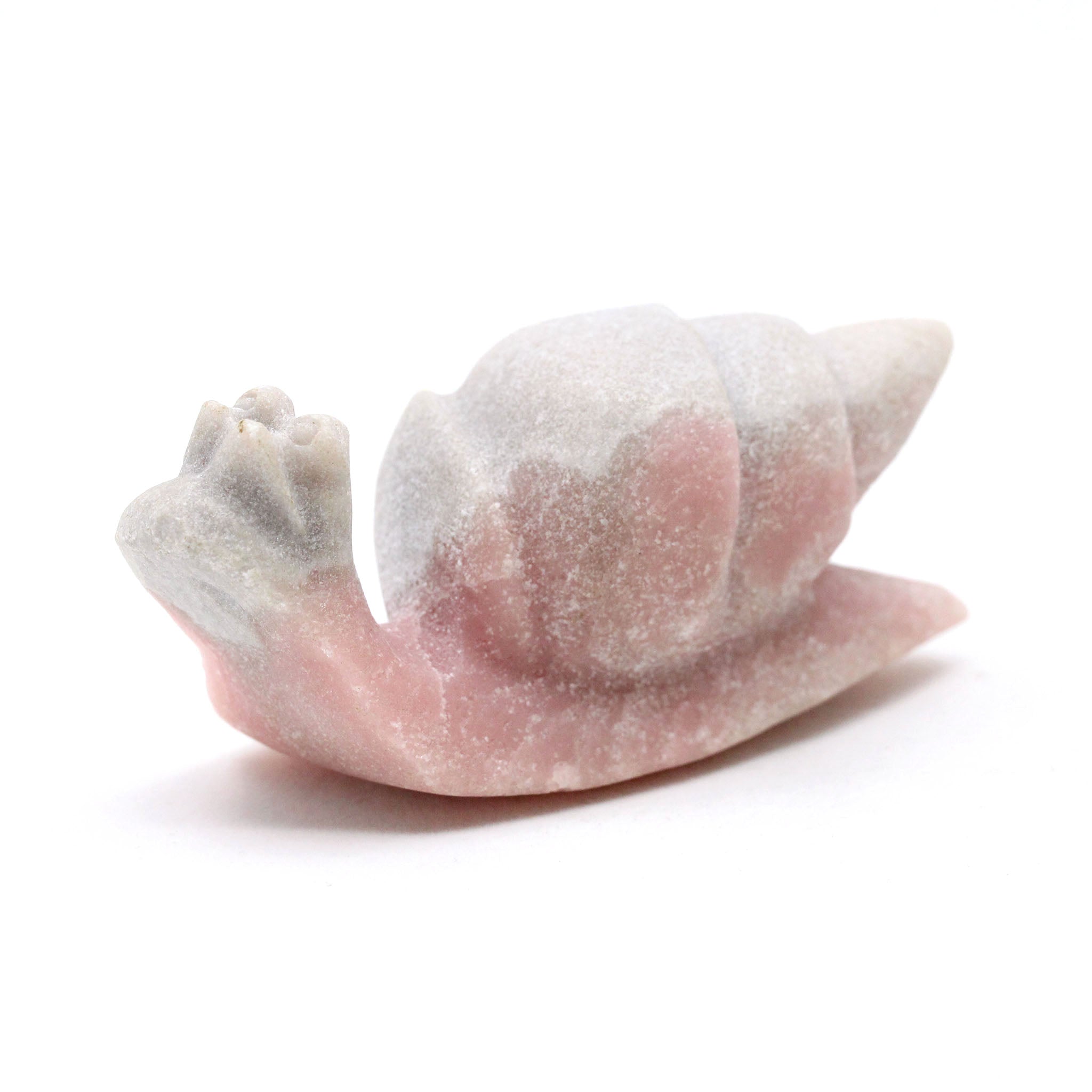 Sea Snail 4 Inches