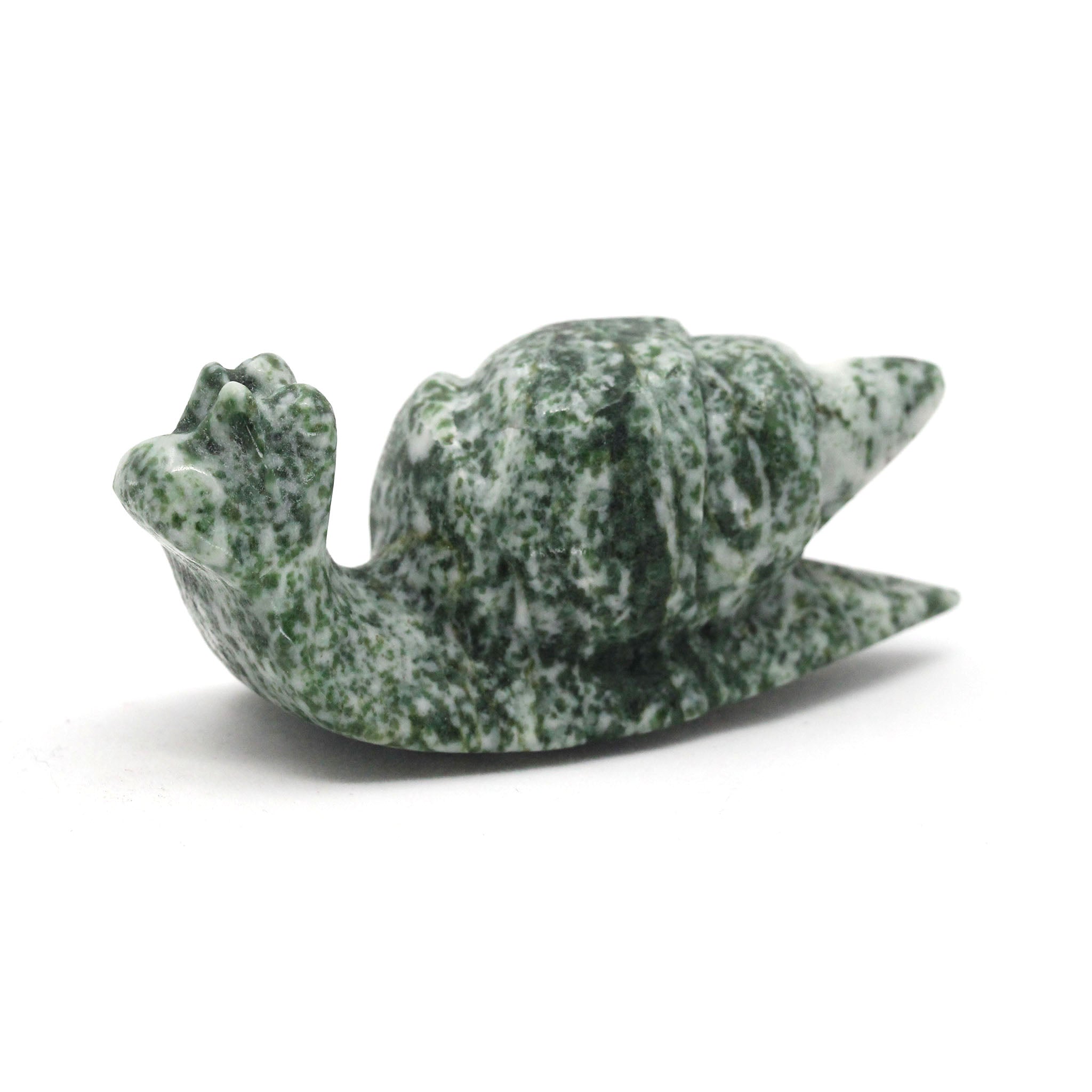 Sea Snail 4 Inches