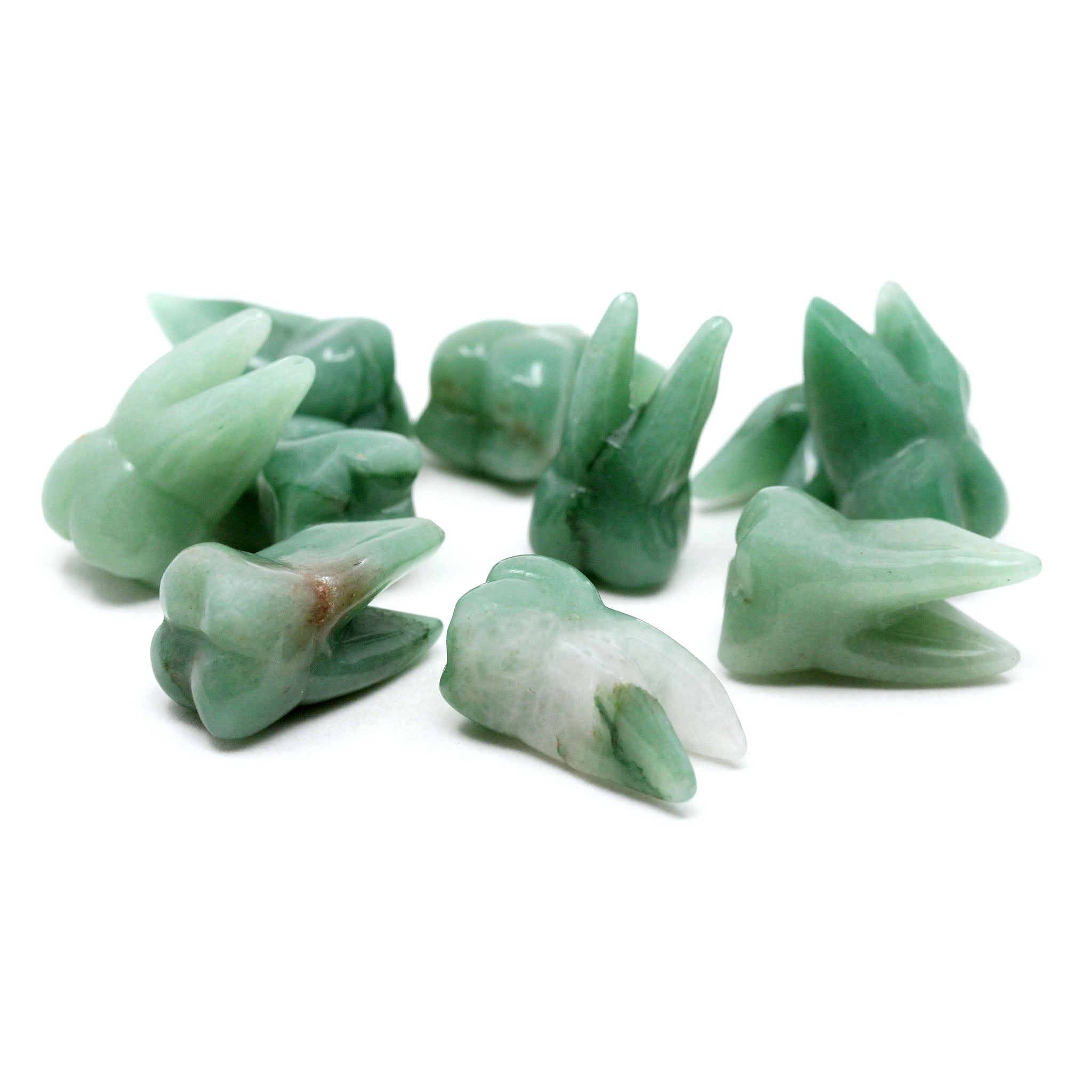 Molar Tooth  1.5 Inches - 10 Pcs