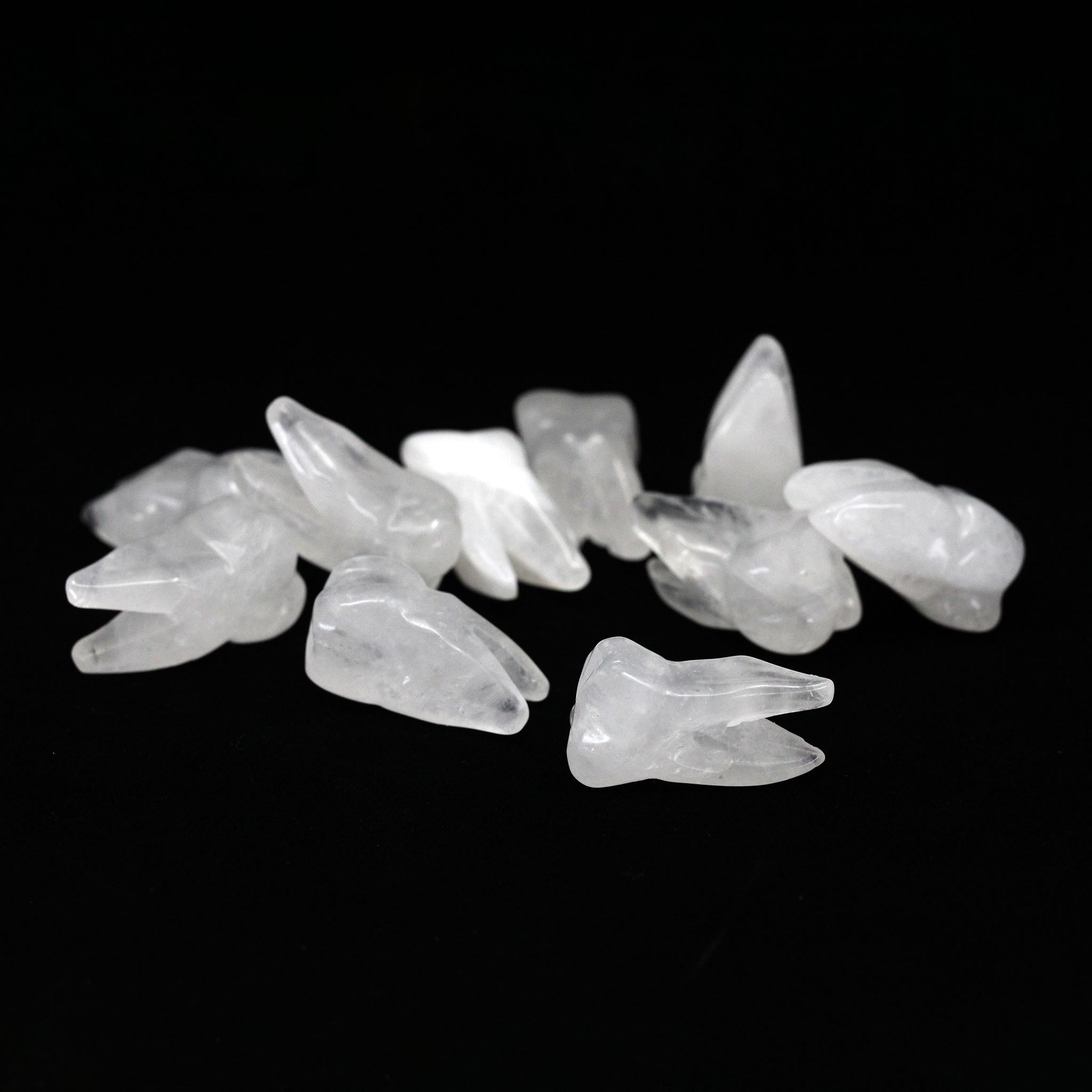 Molar Tooth  1.5 Inches - 10 Pcs