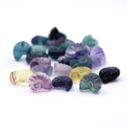 Tiny Spiral Seashell - 25 Pcs
