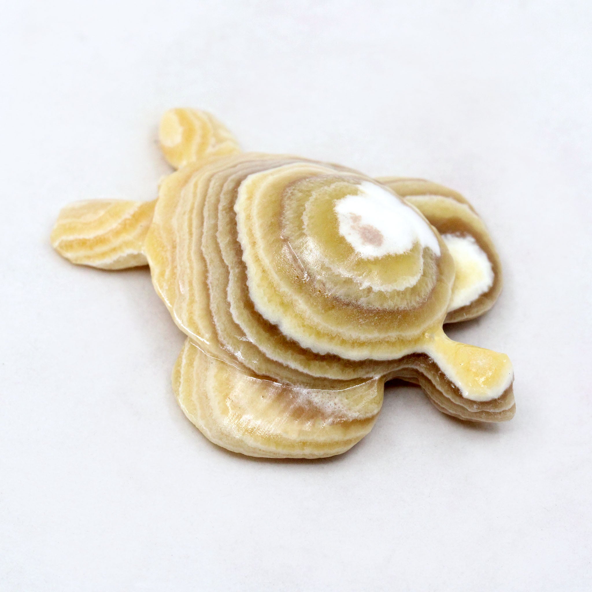 Sea Turtle 4 Inch