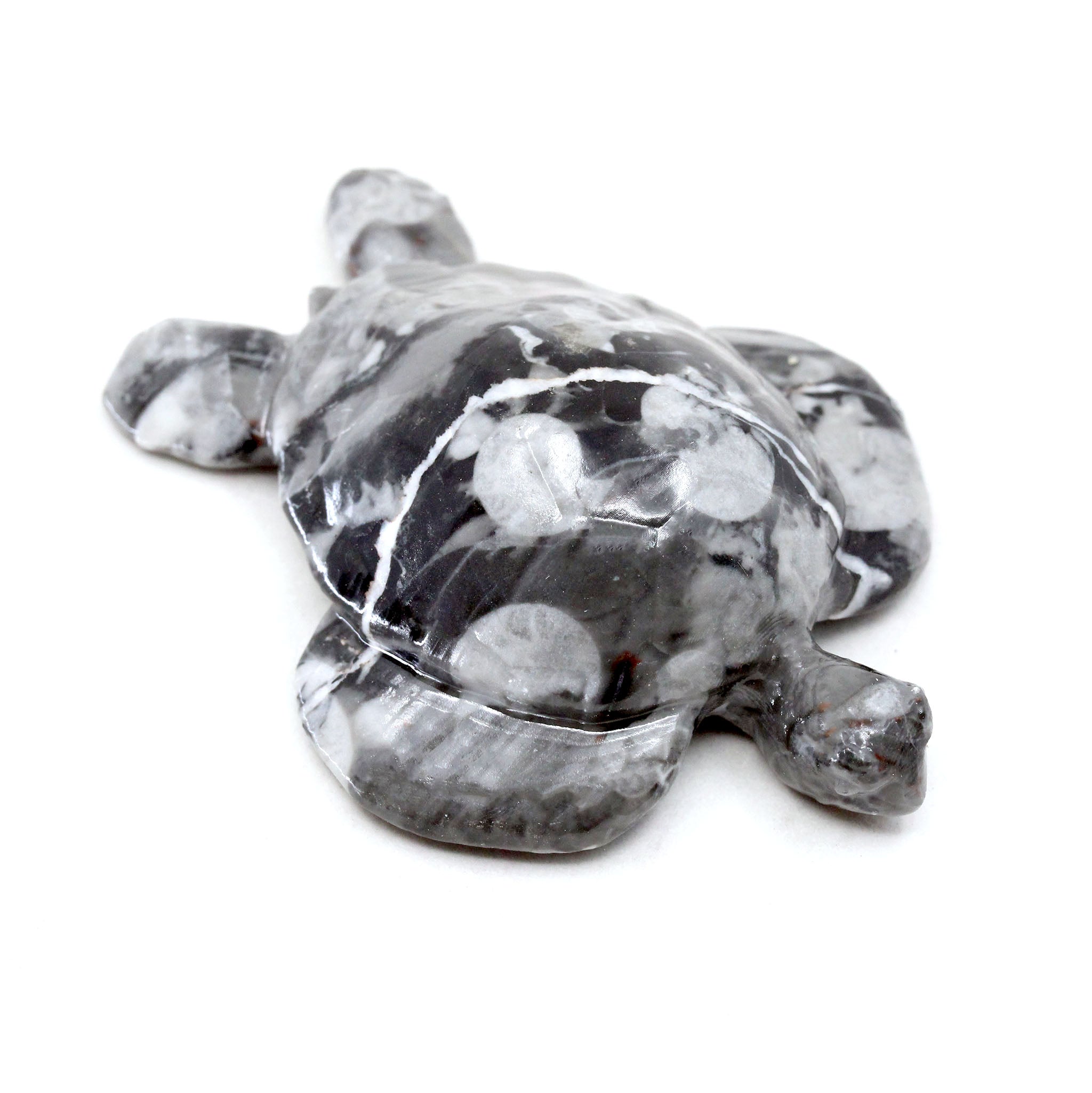 Sea Turtle 4 Inch