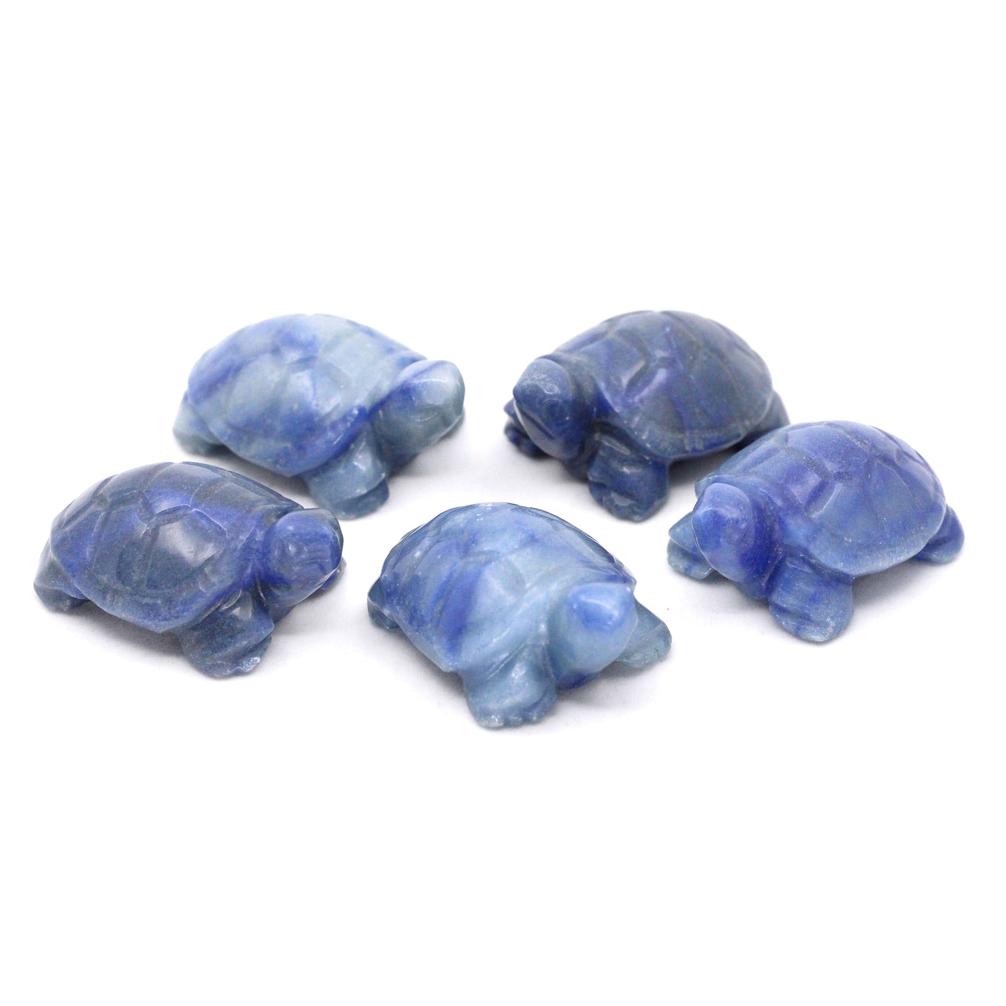 Turtle 2 Inches - 5 Pcs