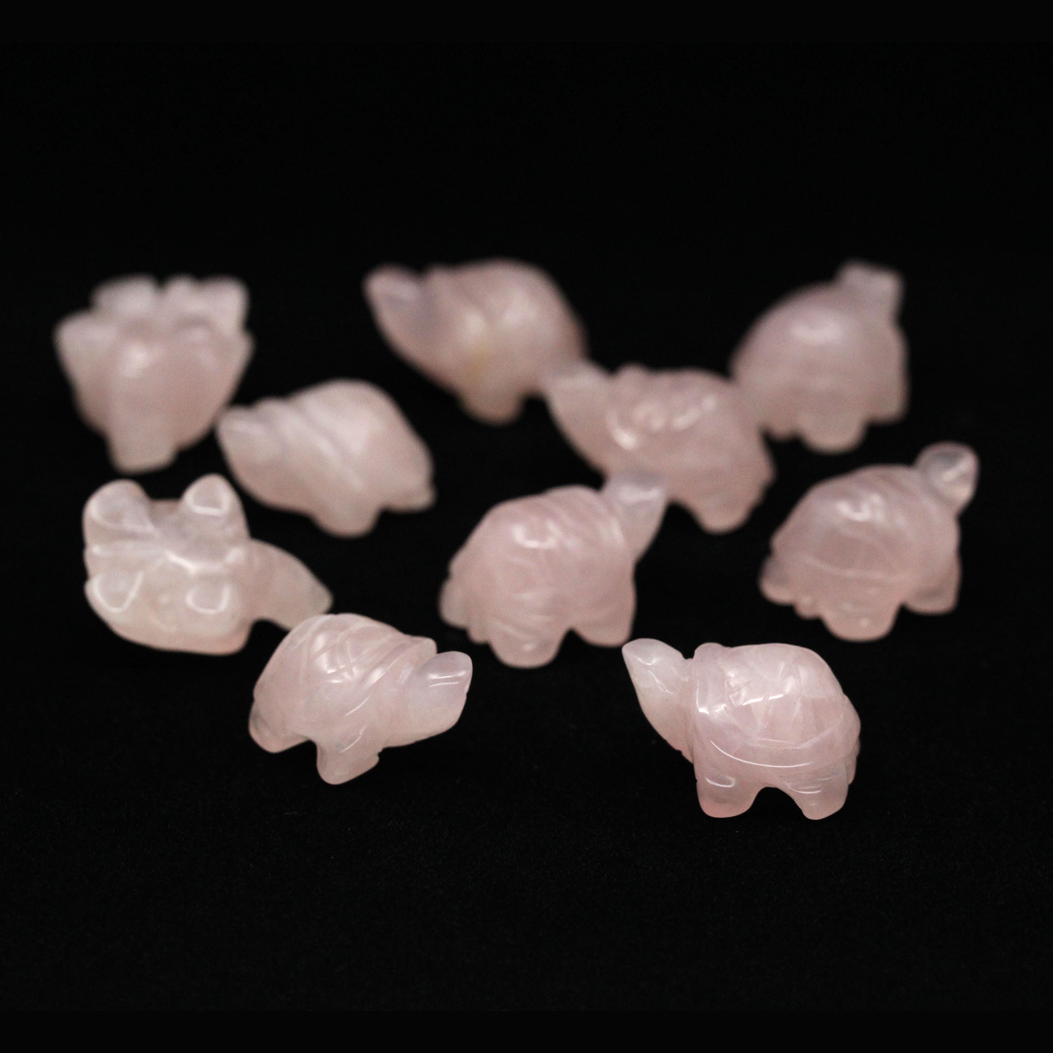 Turtle 1 Inch - 10 Pcs