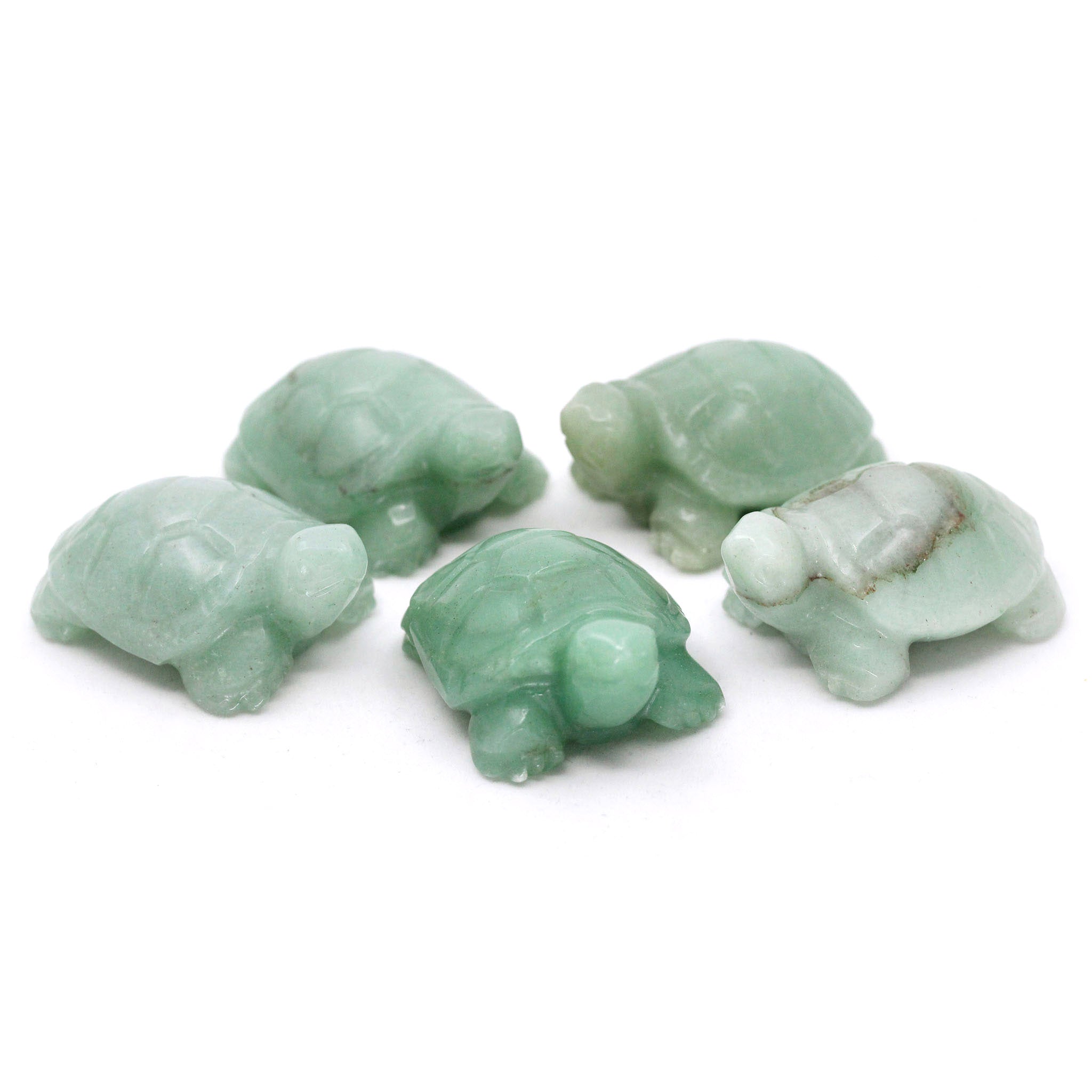 Turtle 2 Inches - 5 Pcs