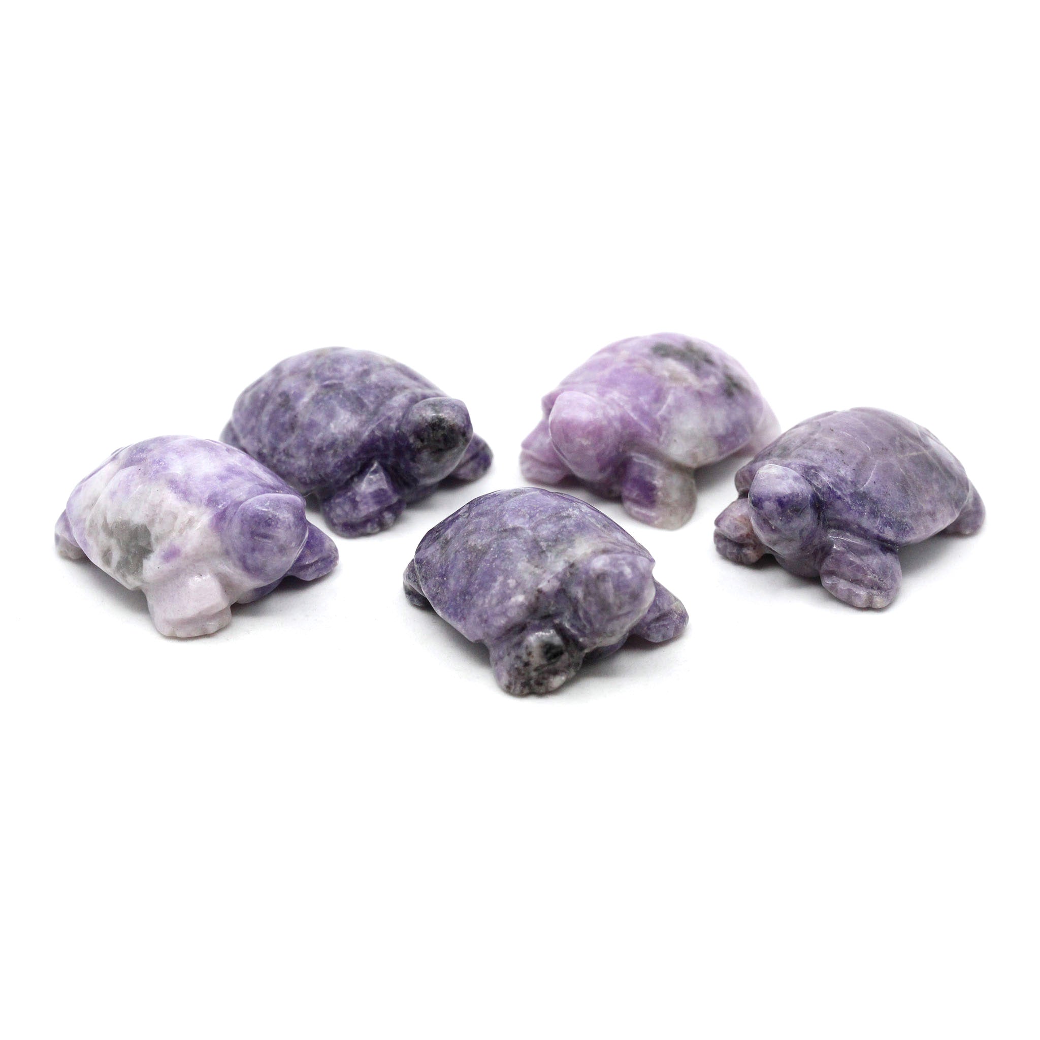 Turtle 2 Inches - 5 Pcs