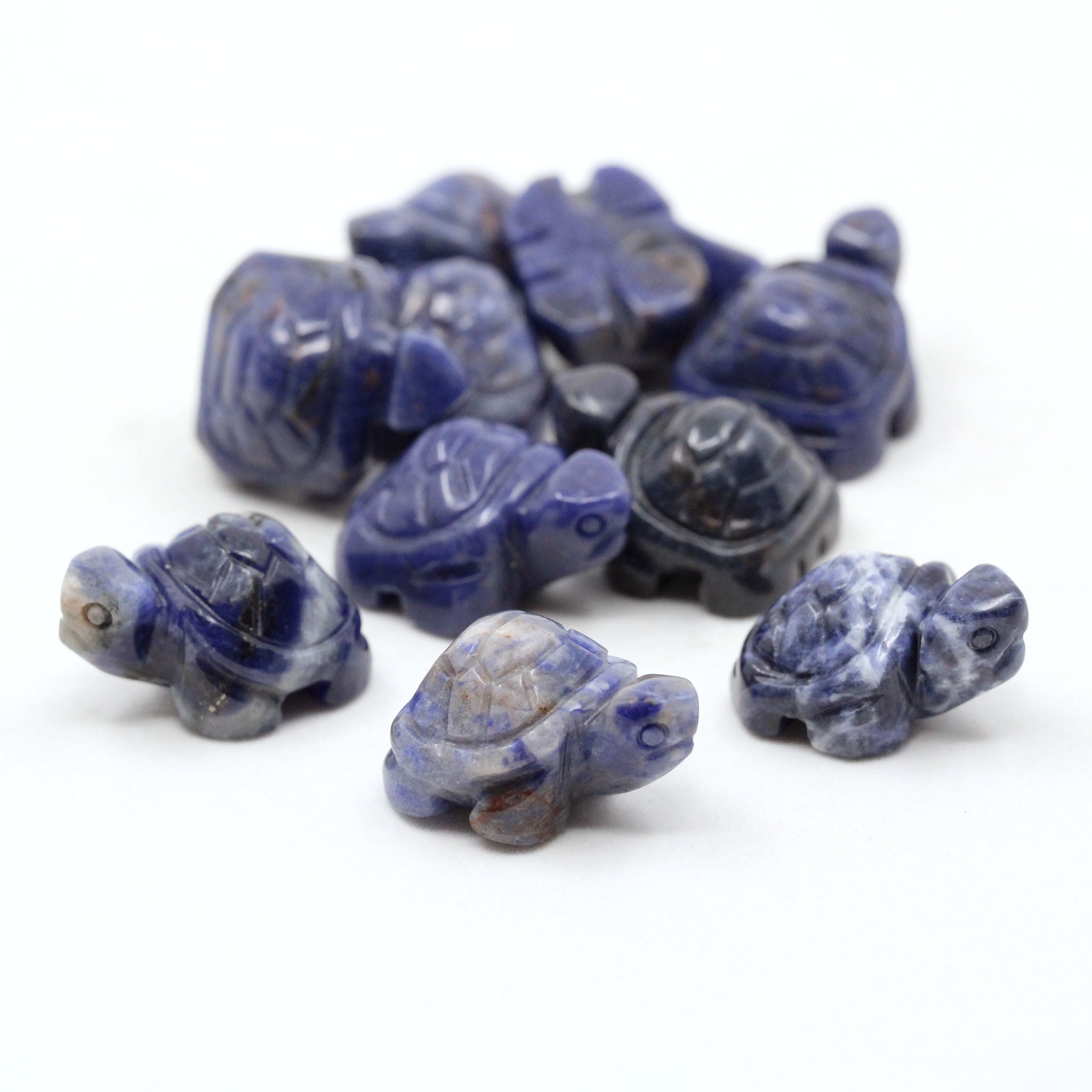 Turtle 1 Inch - 10 Pcs