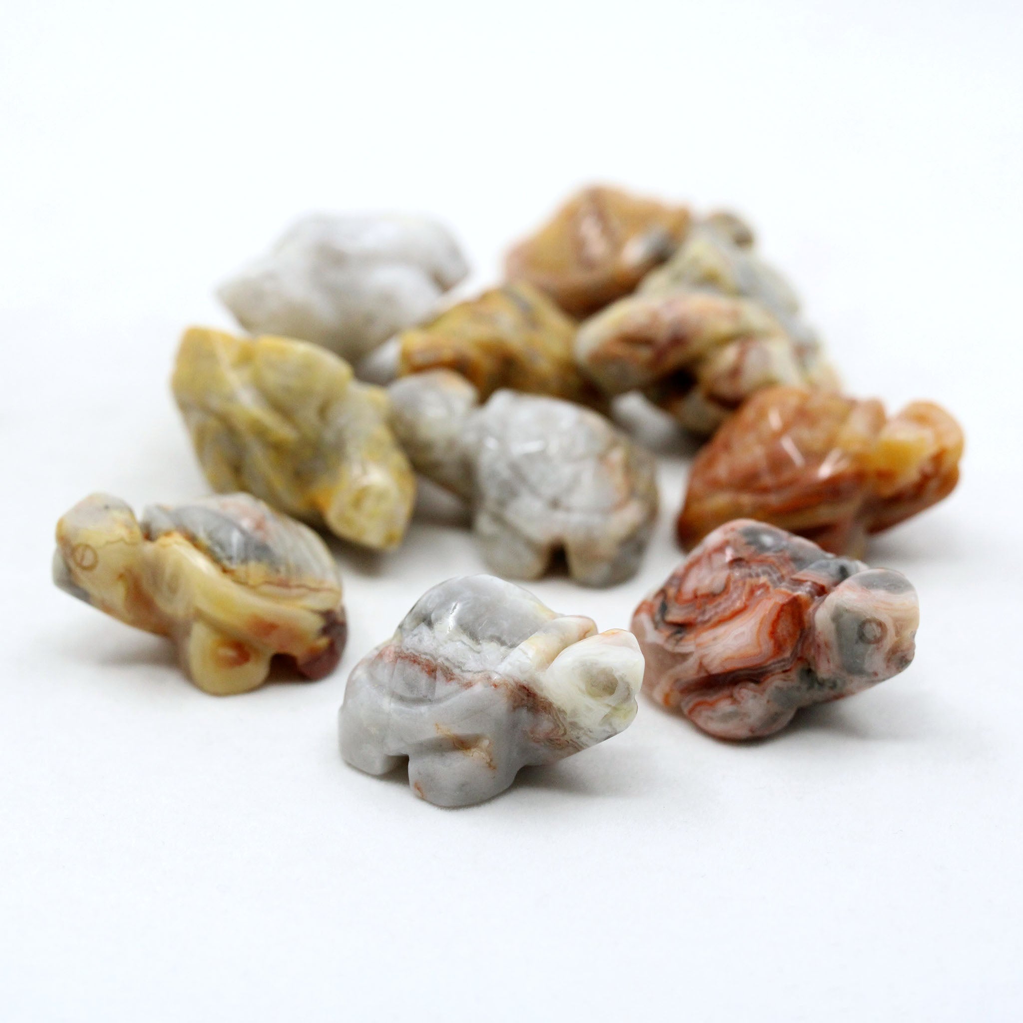 Turtle 1 Inch - 10 Pcs