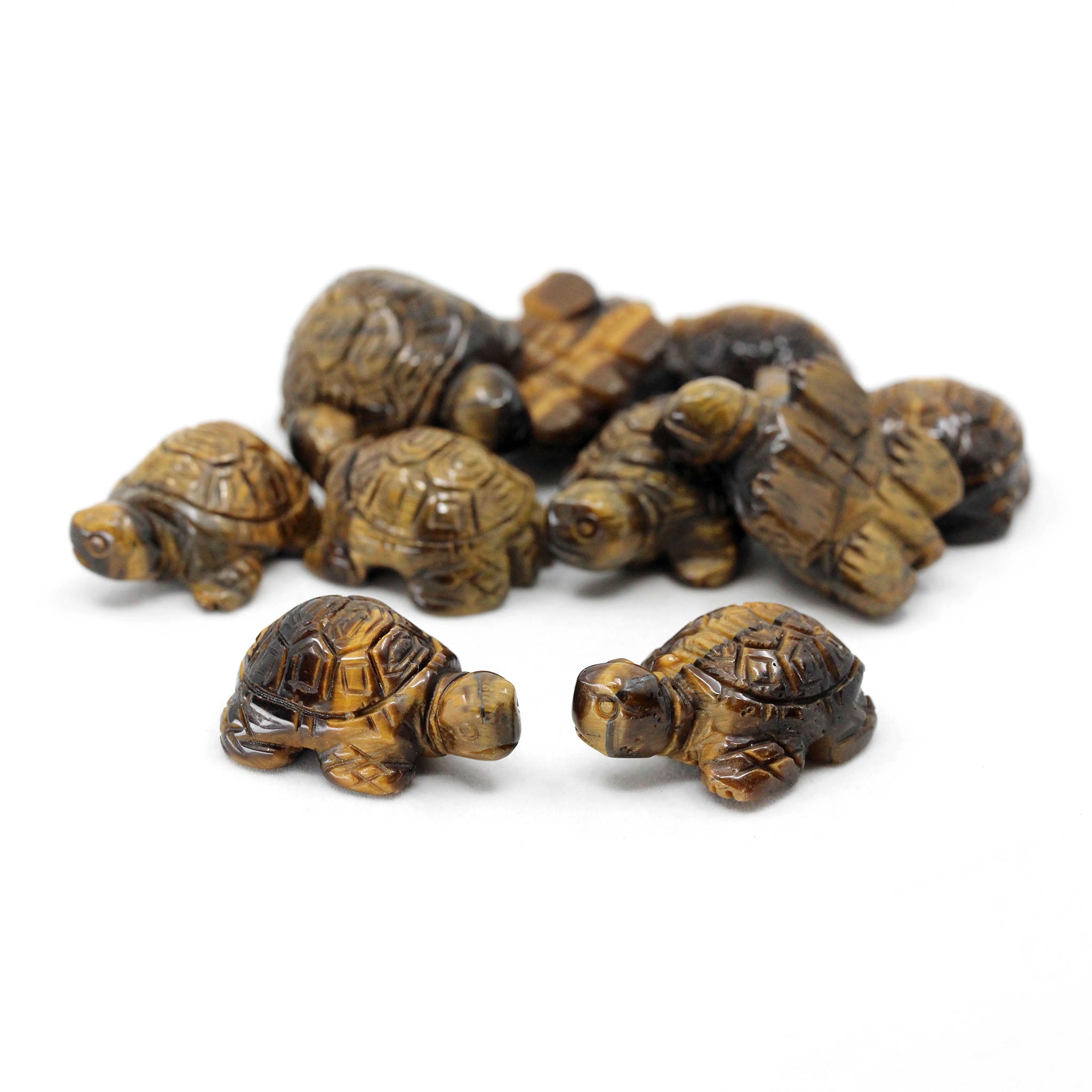 Turtle 1.4 Inches - 10 Pcs