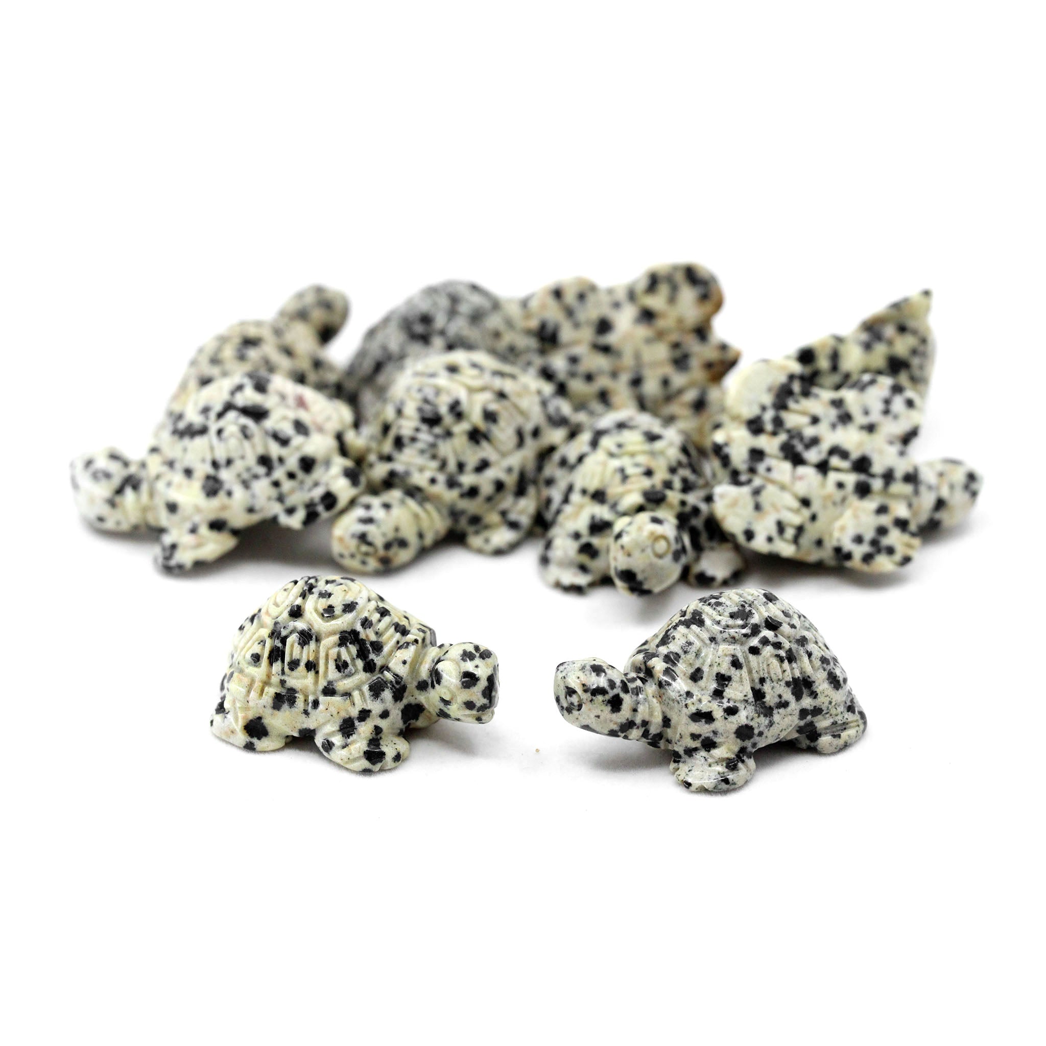 Turtle 1.4 Inches - 10 Pcs