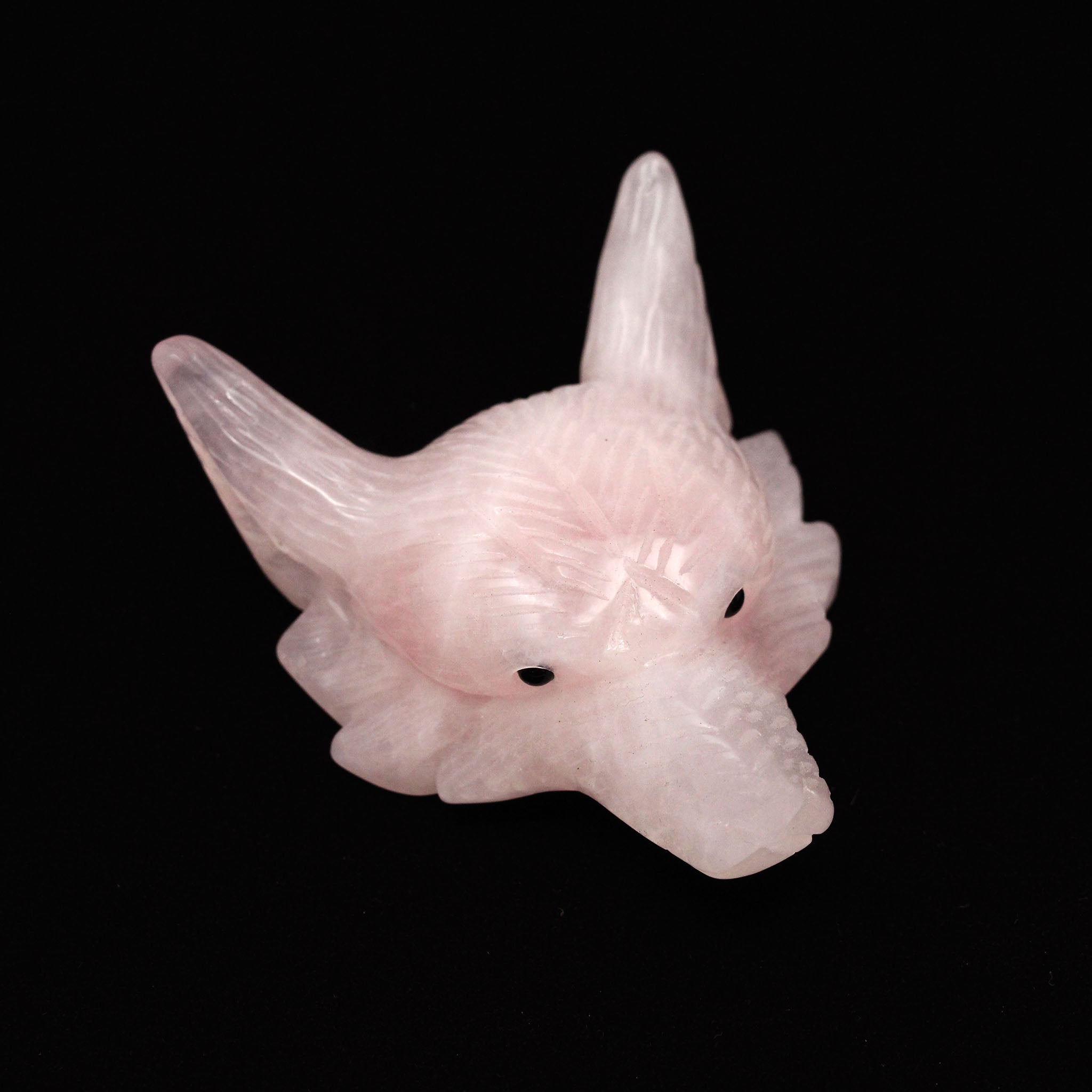 Wolf Head